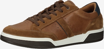 Baskets basses IMAC en marron : devant