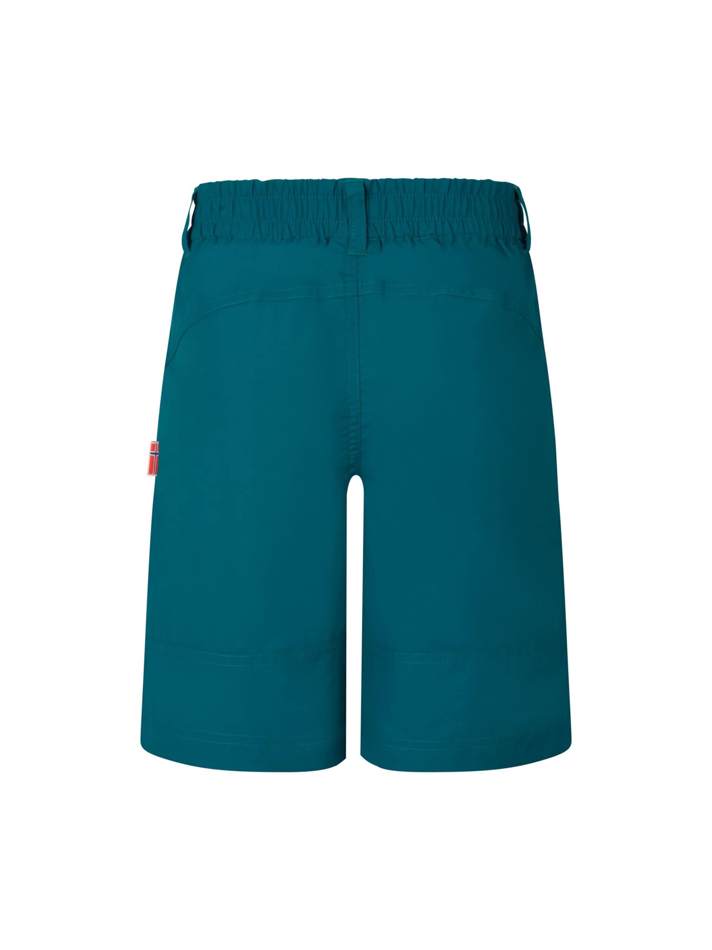 TROLLKIDS Regular Workout Pants in Green