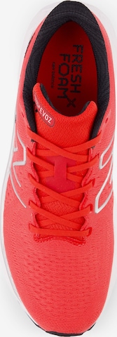 new balance Sportschuh 'Fresh Foam X EVOZ v3' in Rot