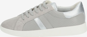 GEOX Sneakers in Grey
