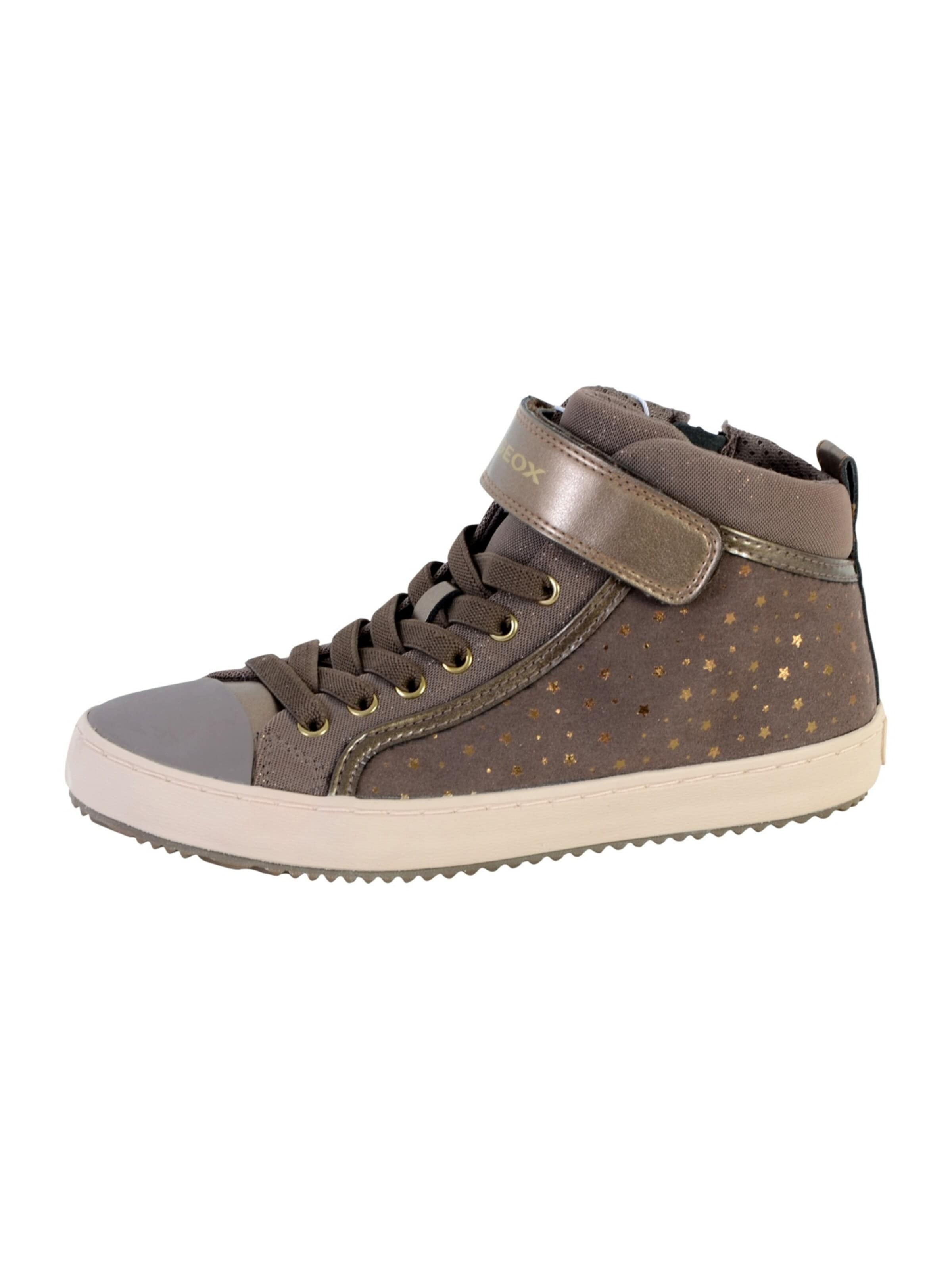 GEOX Trainers in Grey: front