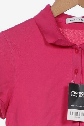 LACOSTE Top & Shirt in S in Pink