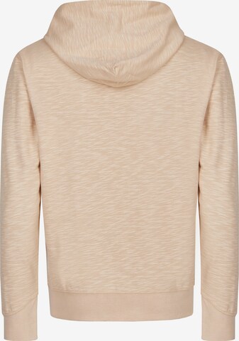 HECHTER PARIS Pullover in Beige