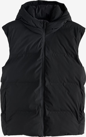 juoda Next Liemenė: priekis