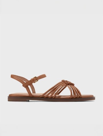 Cole Haan Remmisandaalit 'JITNEY' värissä ruskea: etupuoli