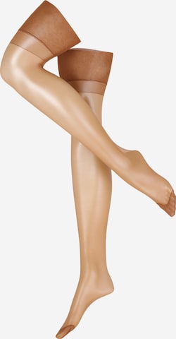 BluebellaHulahopke - smeđa boja: prednji dio