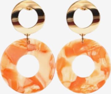 Fräulein Wunder Korvakoru 'Adua' värissä punainen: etupuoli