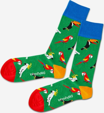 DillySocks Socken in blau / grasgrün / orange / rot / weiß, Produktansicht