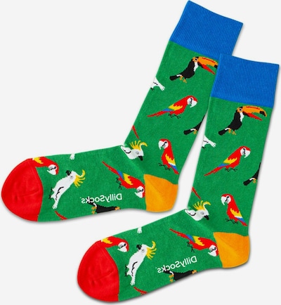 DillySocks Chaussettes en mélange de couleurs, Vue avec produit