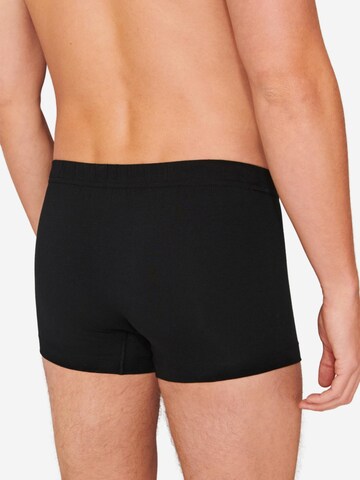 SCHIESSER Boxer shorts '95/5 Essentials - Organic Cotton' in Black