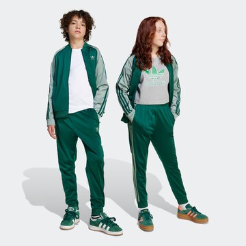 Tapered Pantaloni 'Adicolor' di ADIDAS ORIGINALS in verde