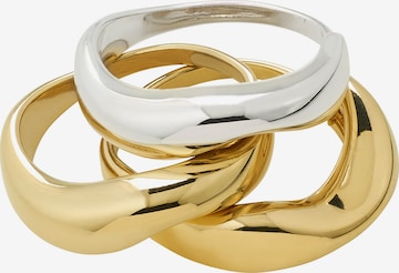 auksinė Pilgrim Žiedas 'NOVA': priekis