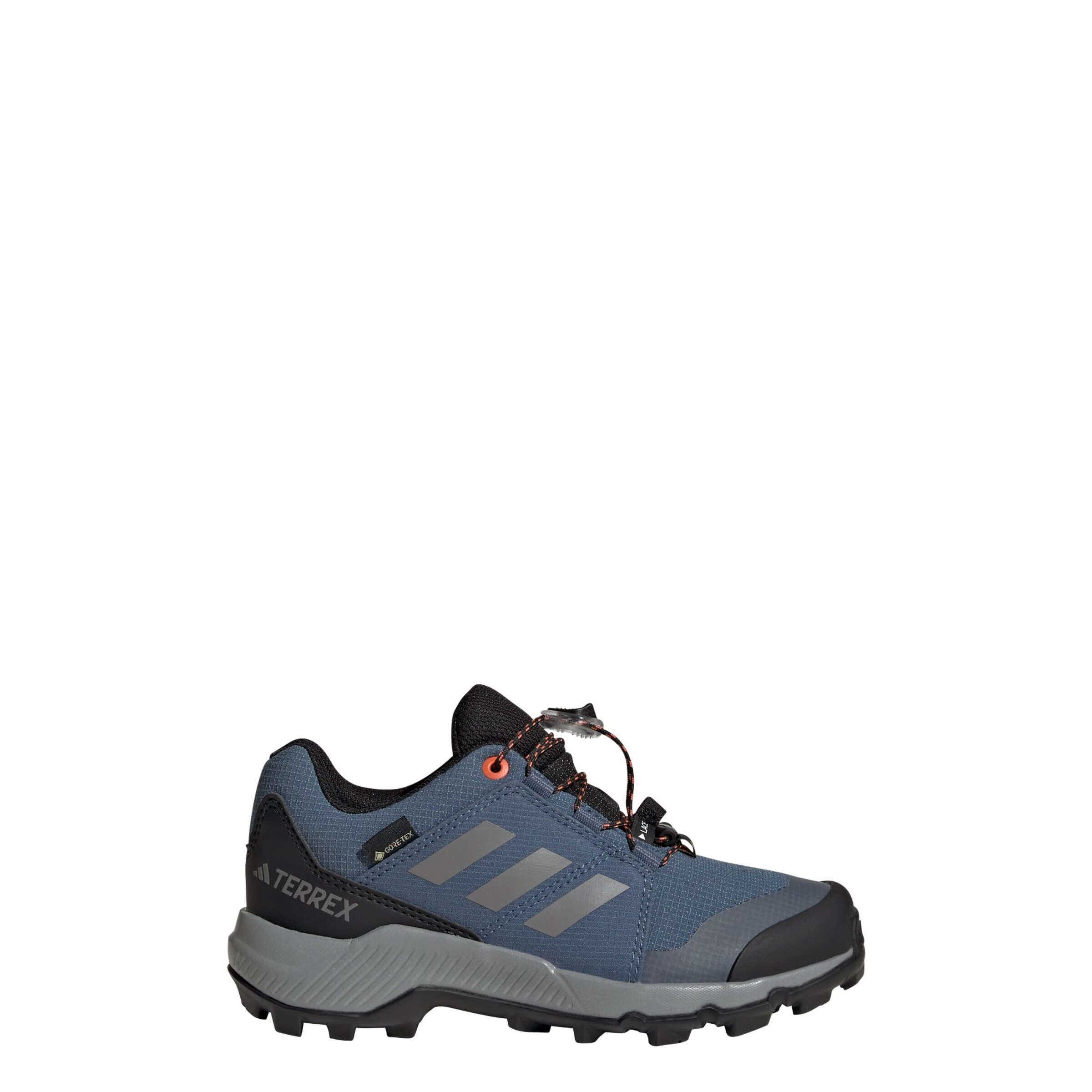 ADIDAS TERREX Low shoe 'GORE-TEX Hiking' in Blue