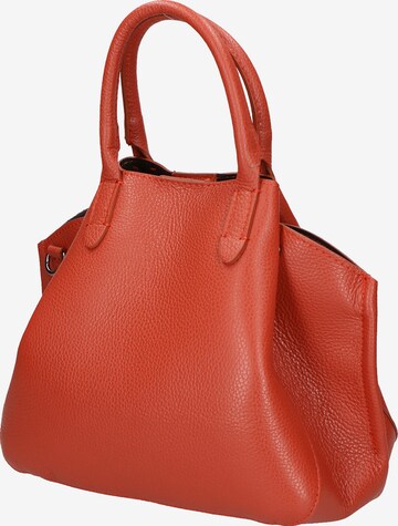 Gave Lux Handtasche ' ' in Orange