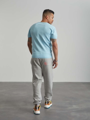 ABOUT YOU x Benny Cristo Regular Pants 'Leonas' in Grey
