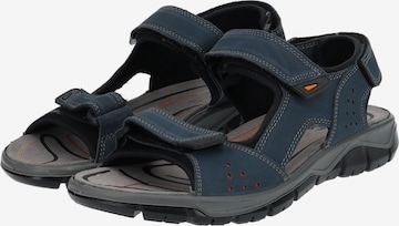 IMAC Hiking Sandals in Blue