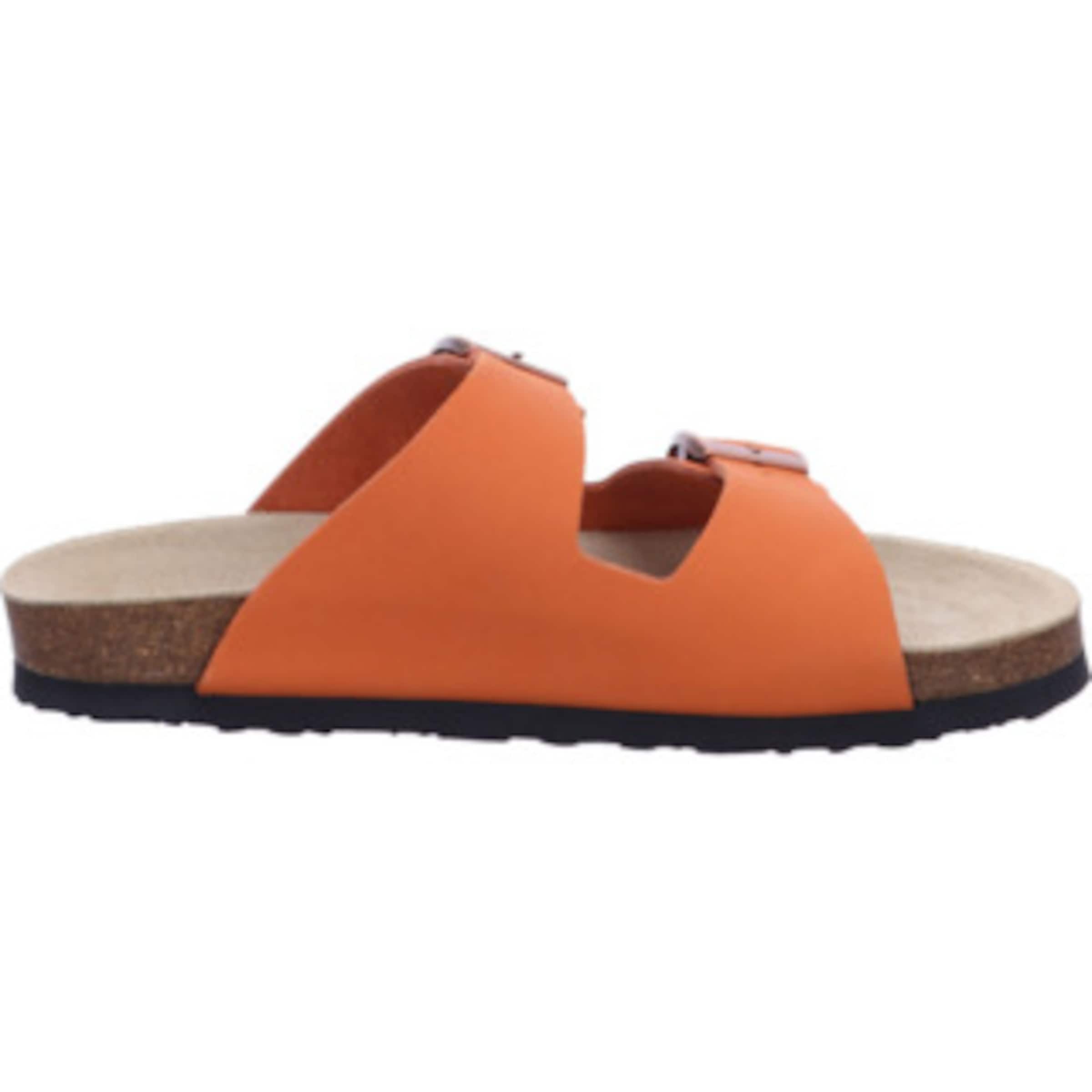 JOSEF SEIBEL Muiltjes in Oranje