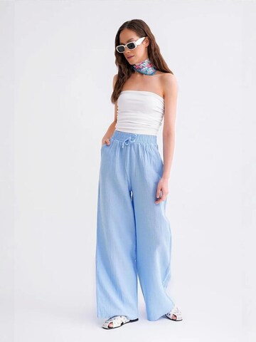 regular Pantaloni di MixRay in blu