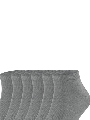 FALKE Socks 'Happy 6-Pack' in Grey