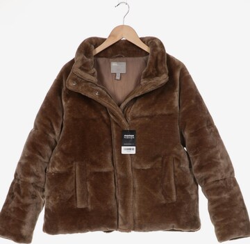 Asos Jacket & Coat in XL in Brown: front