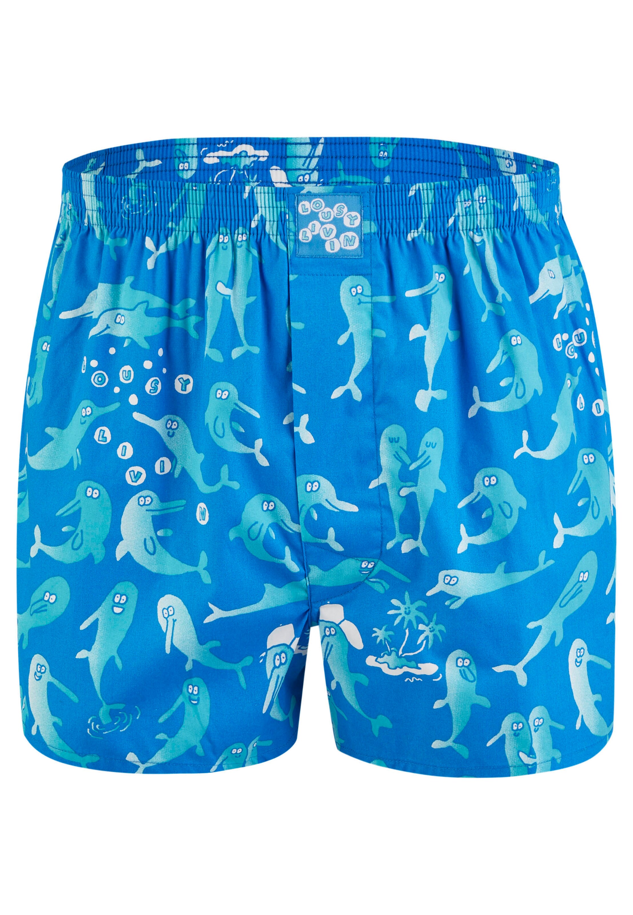 Lousy Livin Boxershorts 'Sky Gym & Dolphin' in Blau