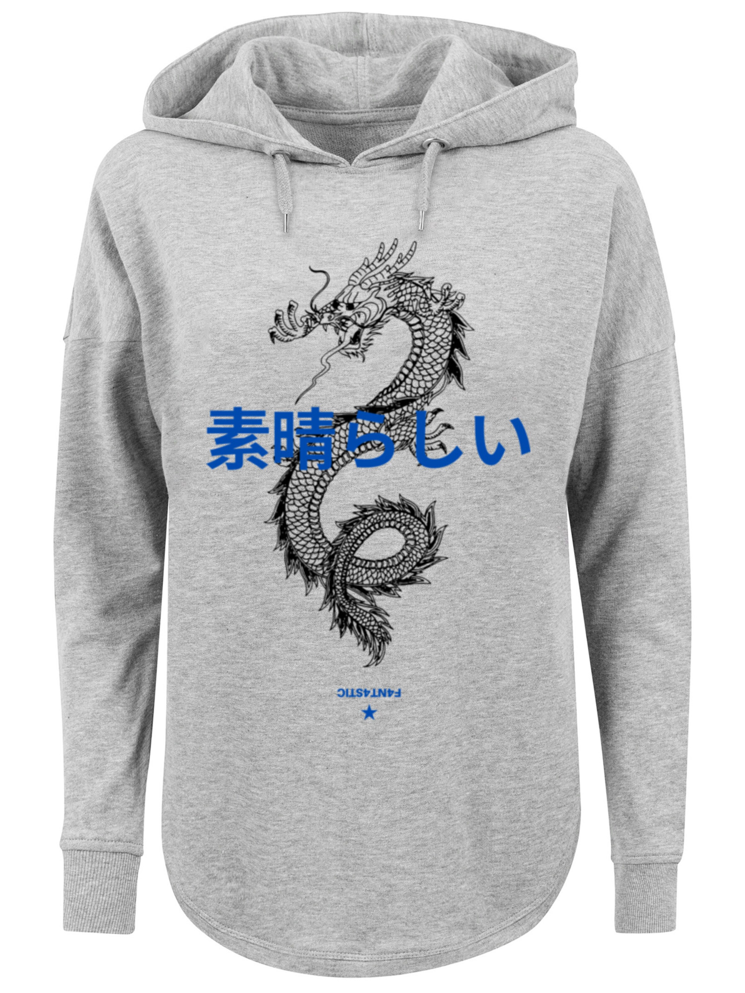 F4NT4STIC Sweatshirt 'Drache Japan' in Grijs: voorkant