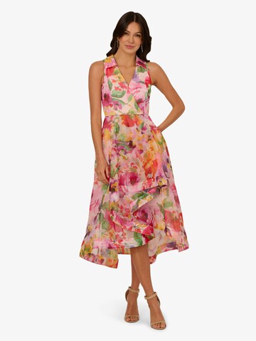 Adrianna Papell Kleid in Pink: Vorderseite