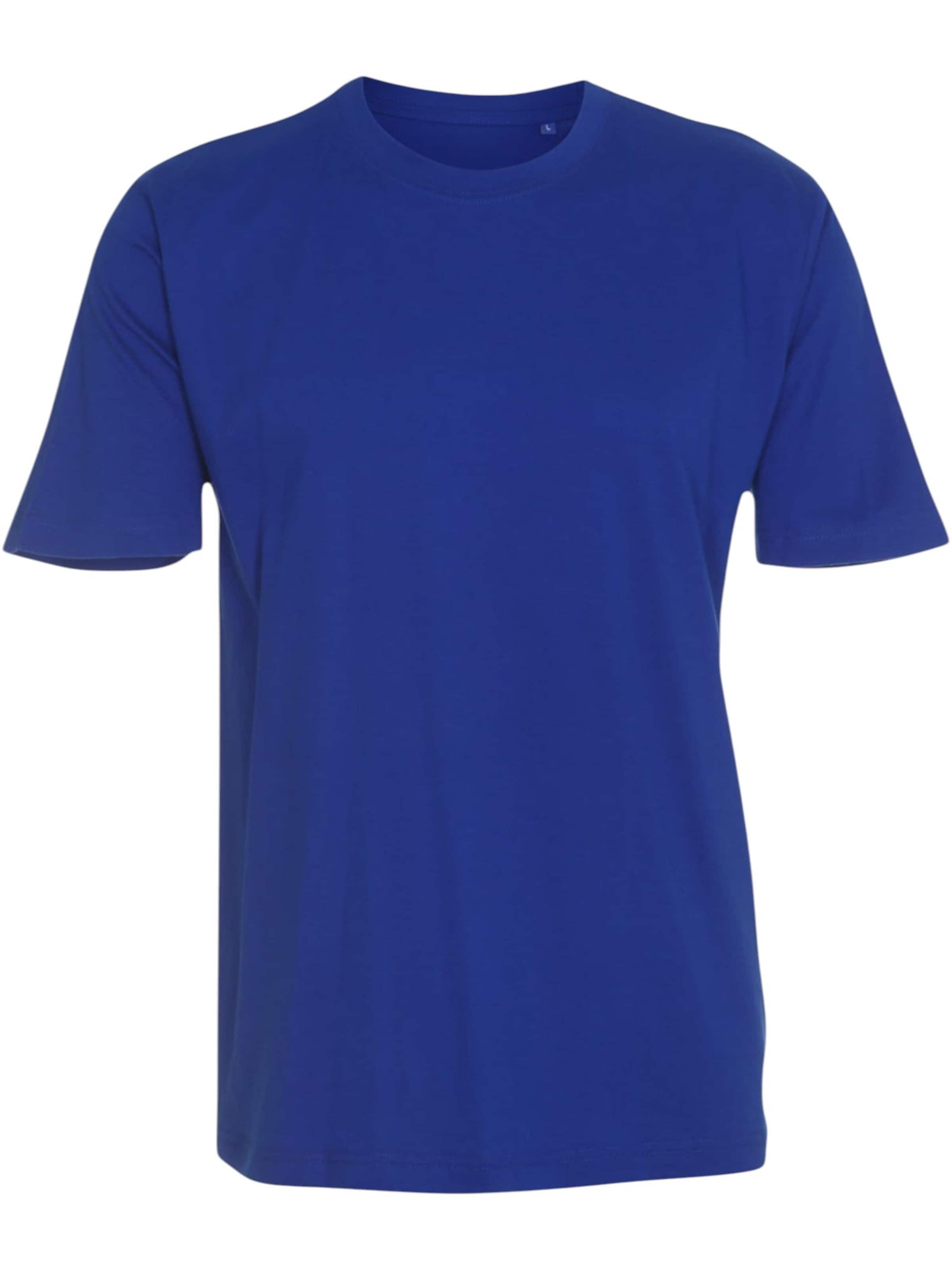 TEESHOPPEN Shirt in Blue: front