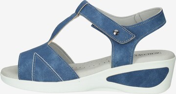 Arcopedico Sandals in Blue