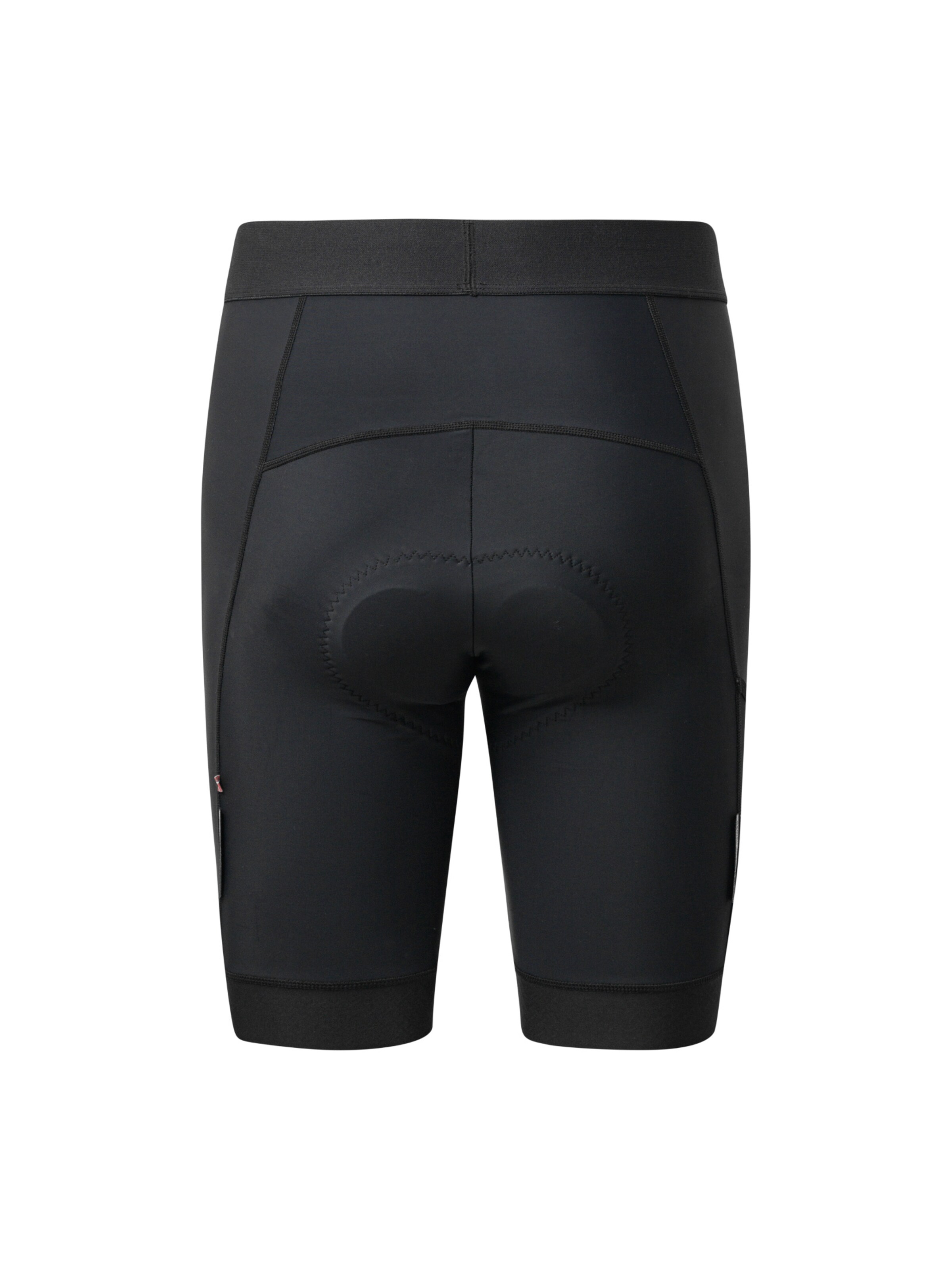 DANISH ENDURANCE Skinny Sports trousers 'Pro Cycling' in Black