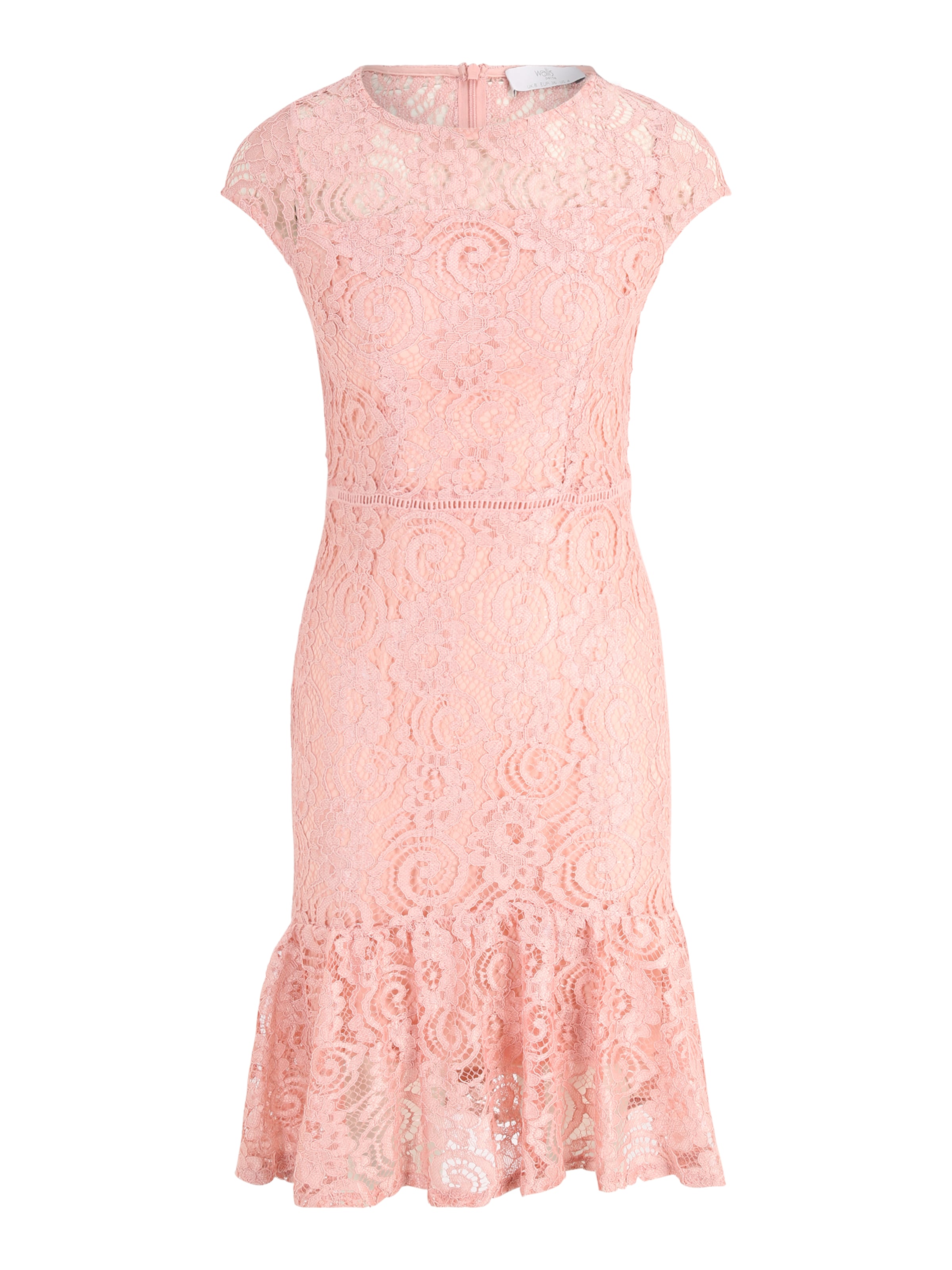 Wallis Petite Φόρεμα κοκτέιλ σε ροζ: μπροστά