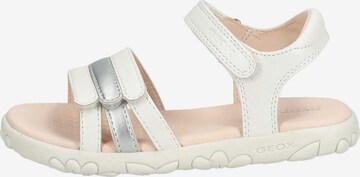 GEOX Sandals in White