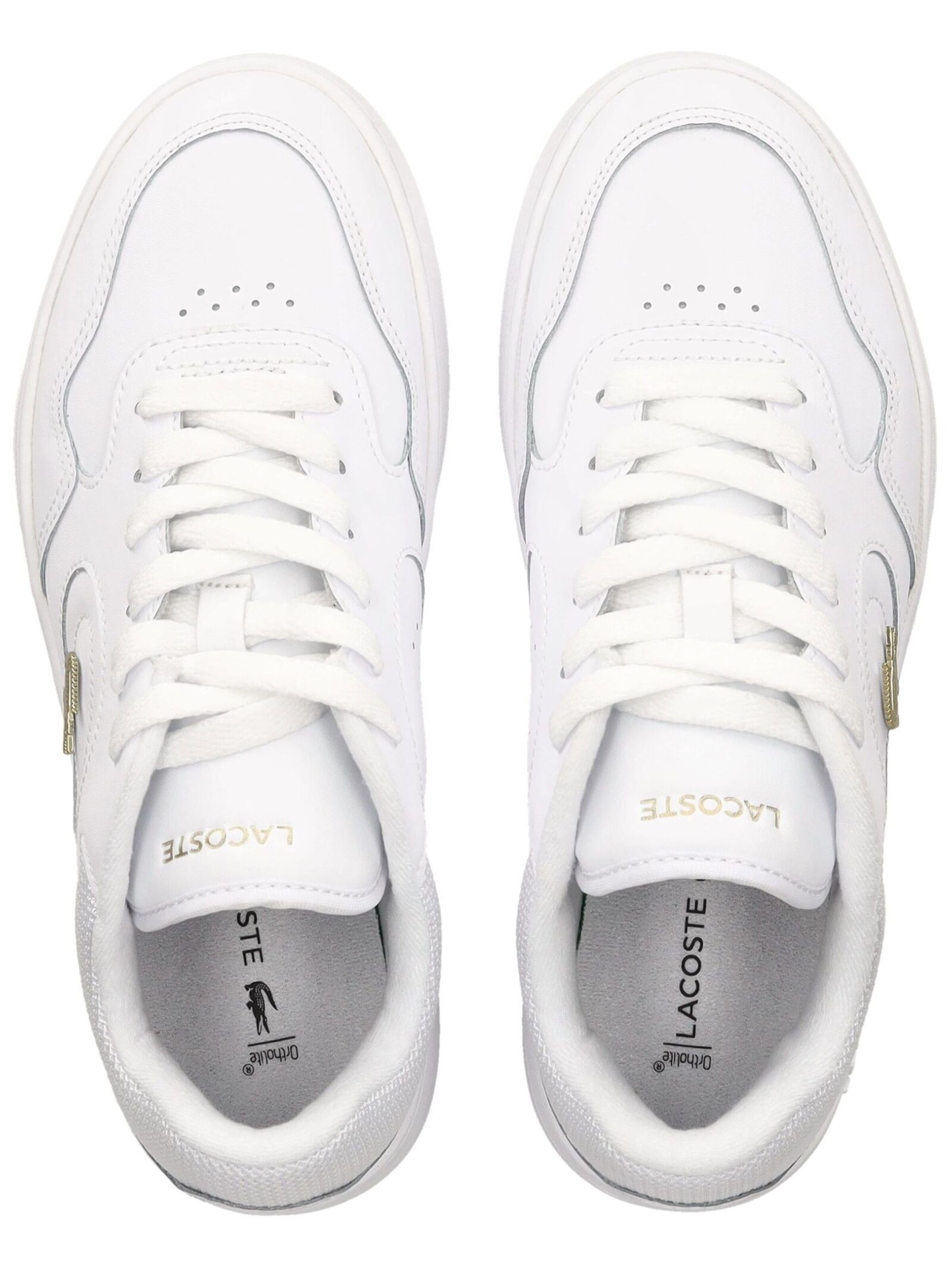 Baskets basses 'Lineset' LACOSTE en blanc