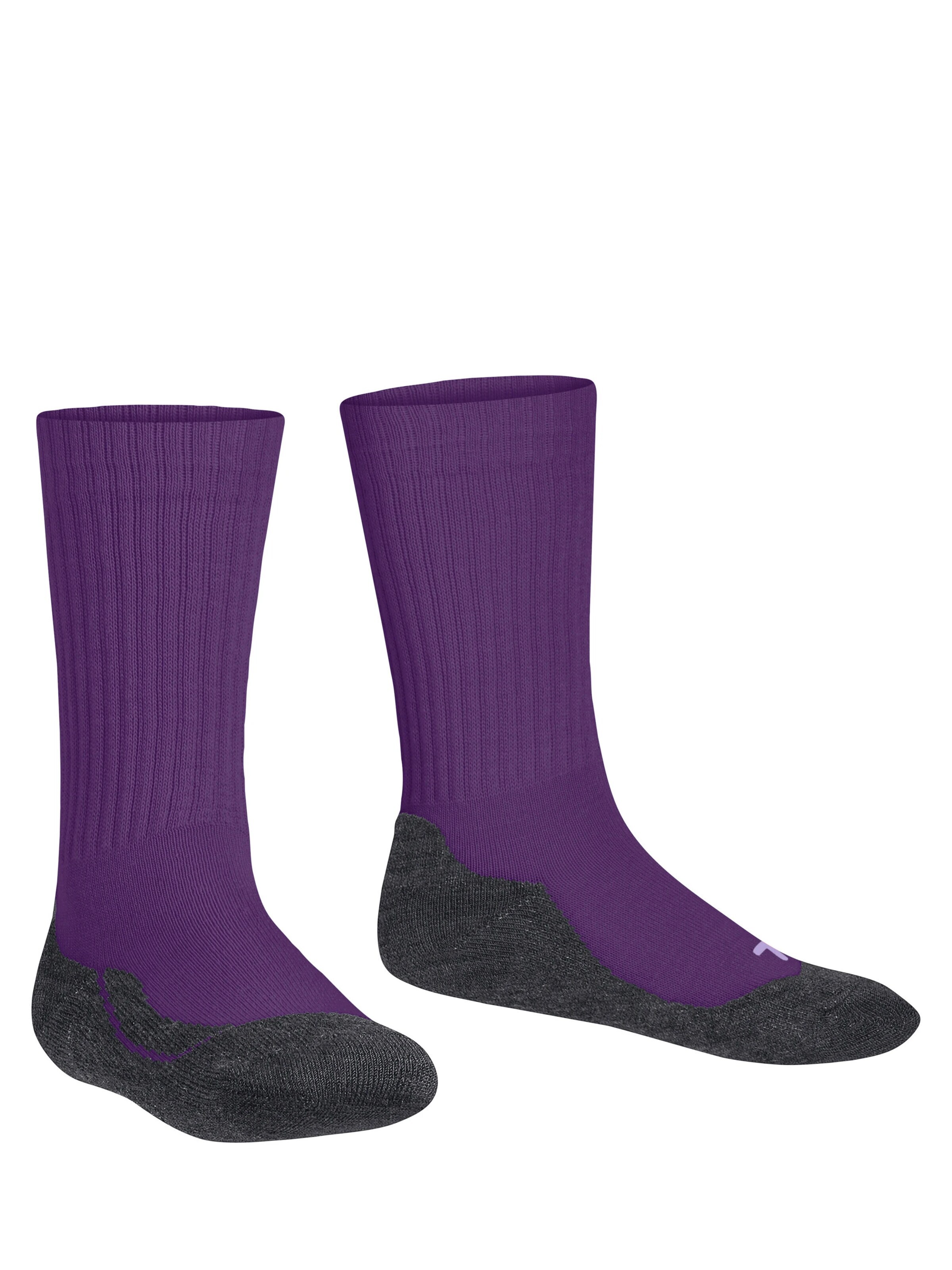 FALKE Socks 'Active Warm' in Purple
