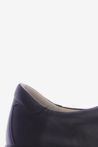 Finn Comfort Flats & Loafers in 39 in Black