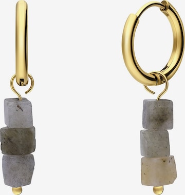 Lucardi Earrings in Gold: front