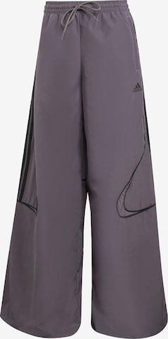 ADIDAS ORIGINALS Широкий Штаны 'Teamgeist Adicolor' в Серый: спереди