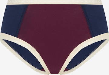 Albero Natur Panty 'Damen Bio-Baumwoll Hipster mit Spitze' in Blue: front