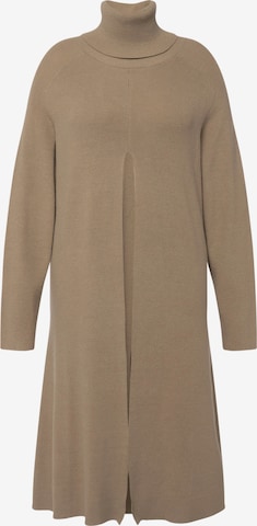 Ulla Popken Sweater in Beige: front