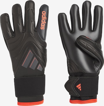 ADIDAS PERFORMANCE Sporthandschuhe in Schwarz: Vorderseite