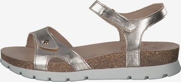 PANAMA JACK Sandals 'Sulia' in Gold