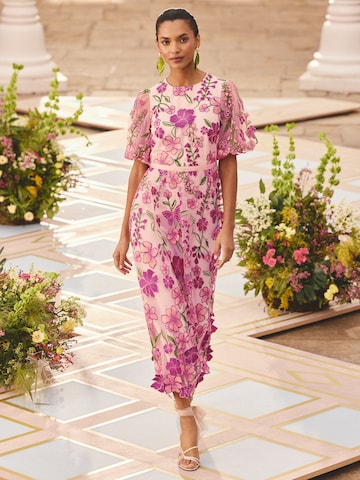 love & roses Obleka | roza barva