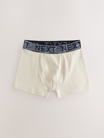 Pantaloncini intimi di Next in colori misti