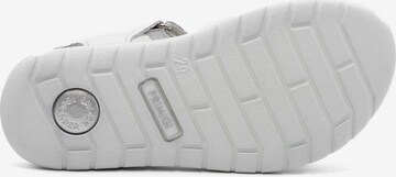 PRIMIGI Sandals 'Alanis' in White