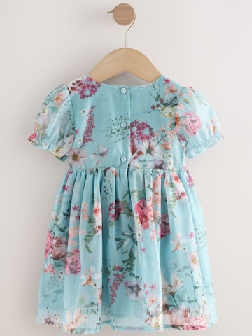 Next Dress in Blue