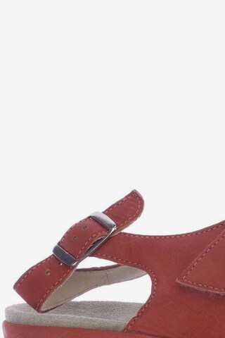 SEMLER Sandals & High-Heeled Sandals in 41 in Red