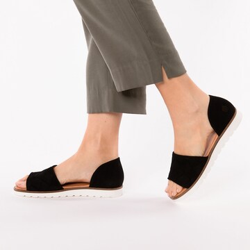 Apple of Eden Sandals in Black