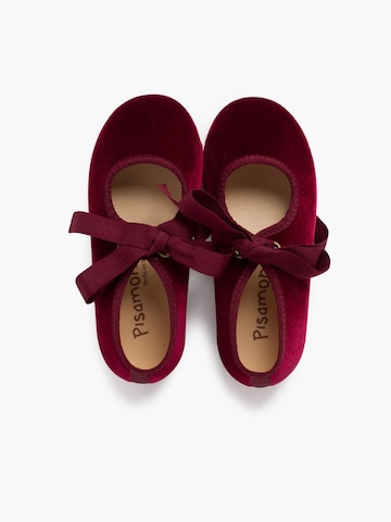 Pisamonas Flats in Red
