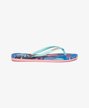 Tongs Superdry en bleu
