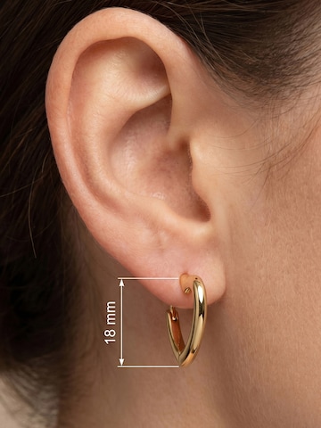 Jobo Earrings in Gold
